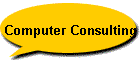 Computer Consulting